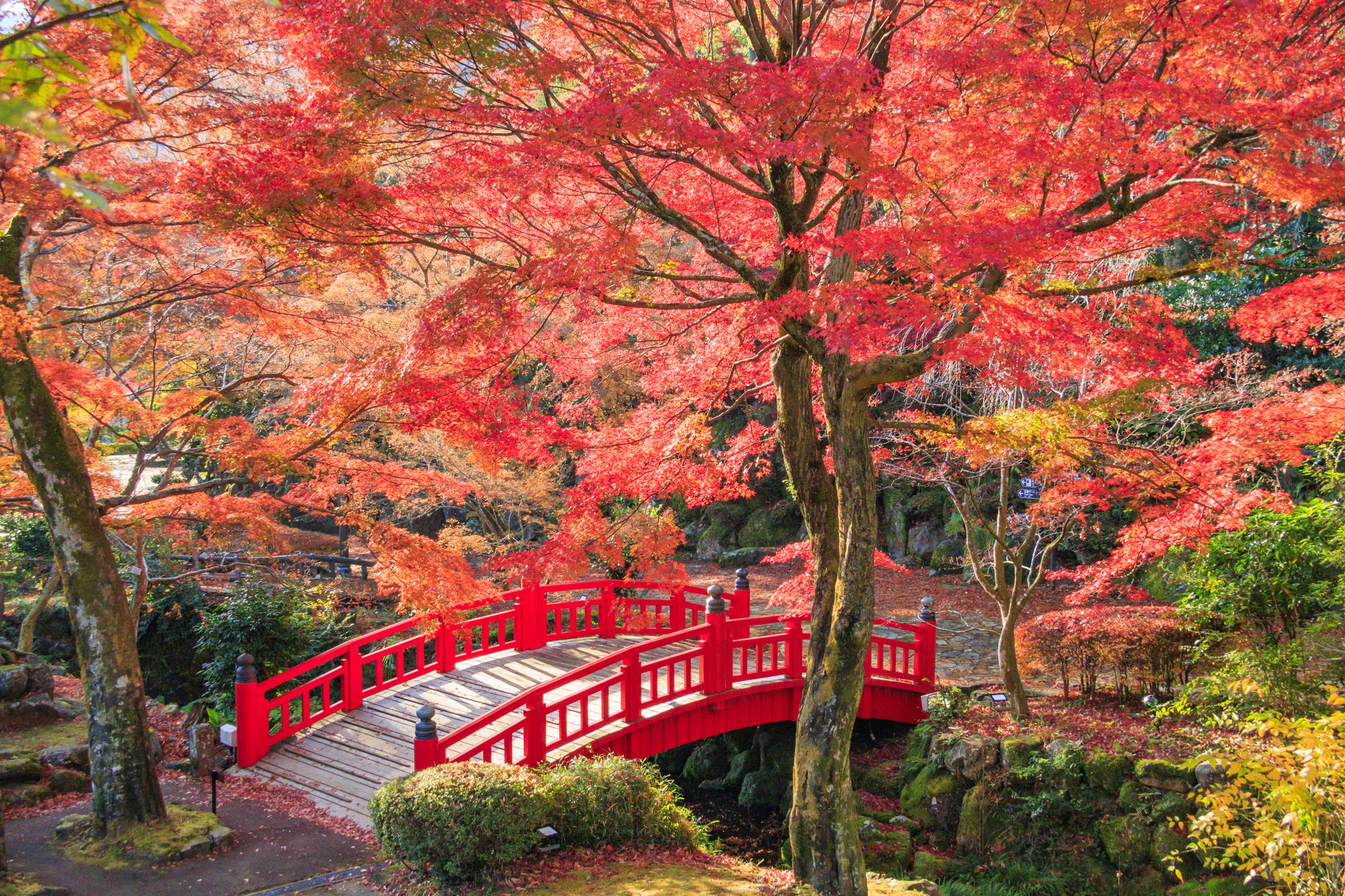 ORIX HOTELS & RESORTSの泊まって、楽しむ紅葉旅