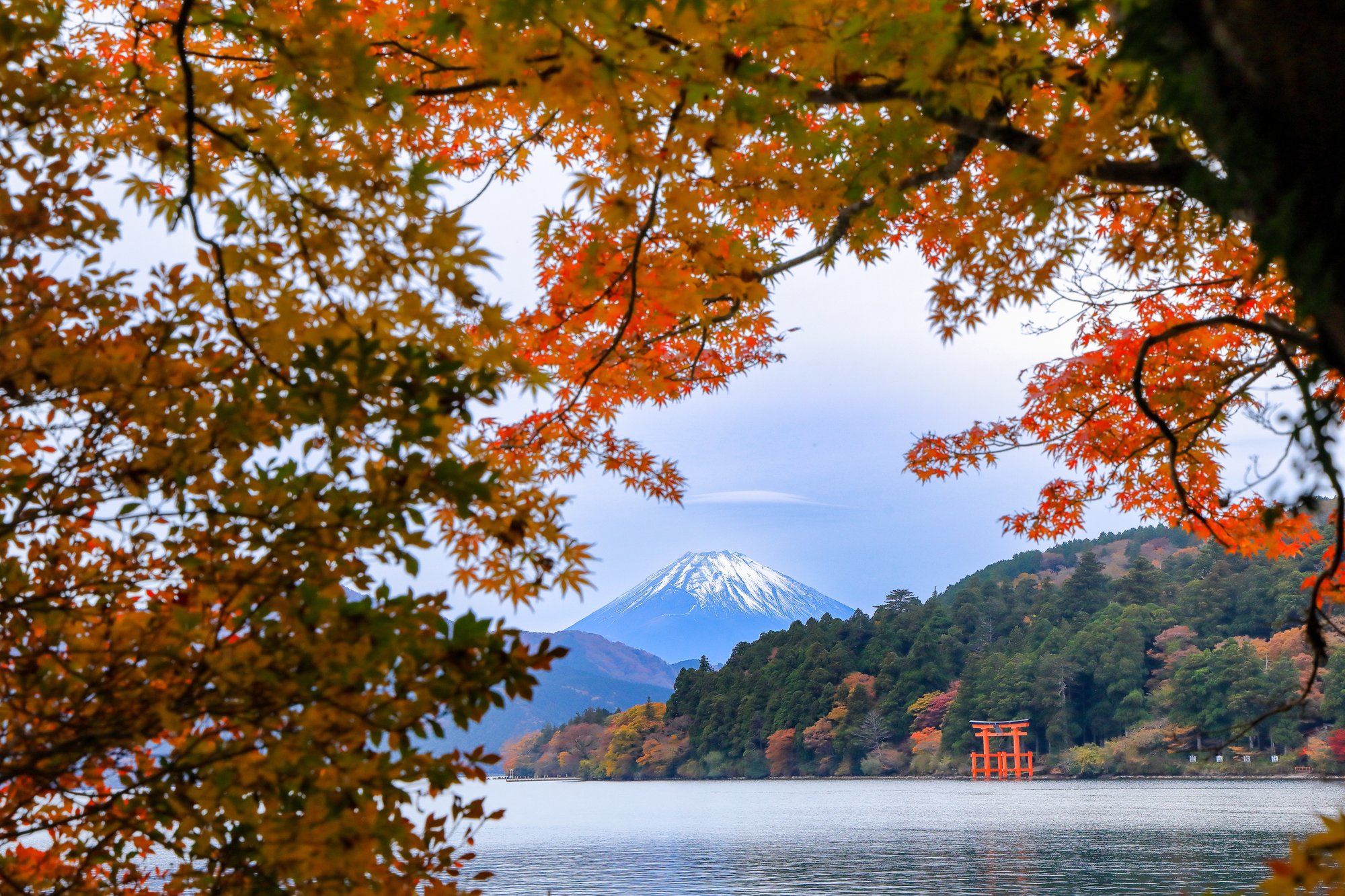 ORIX HOTELS & RESORTSの泊まって、楽しむ紅葉旅