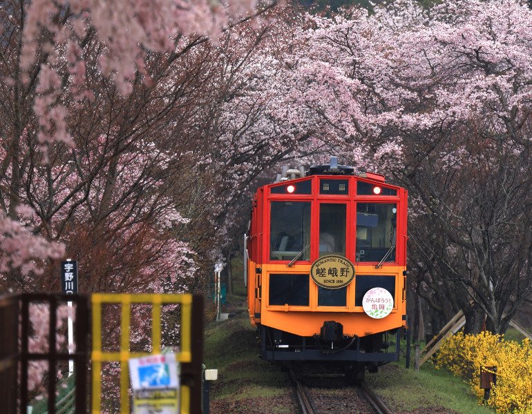 京都を楽しむならココ！王道＆おすすめの人気観光スポット5選｜にっぽん旅めぐり