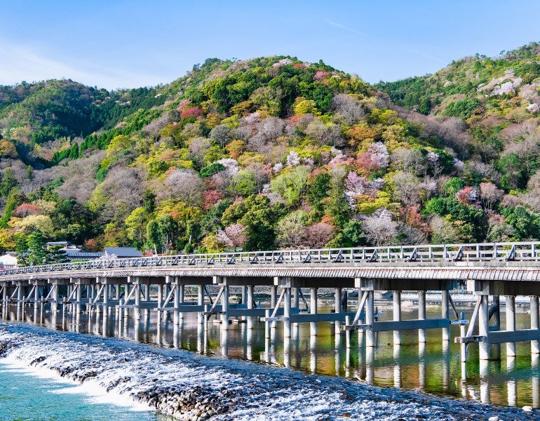 京都を楽しむならココ！王道＆おすすめの人気観光スポット5選｜にっぽん旅めぐり