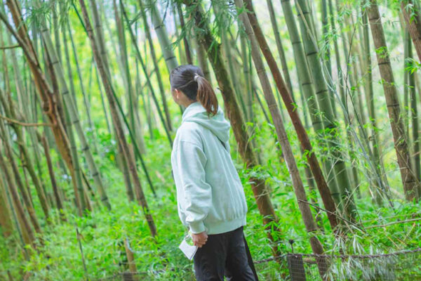はなをりから箱根九頭龍の森まで芦ノ湖を望みながら木漏れ日そそぐ森の中へ