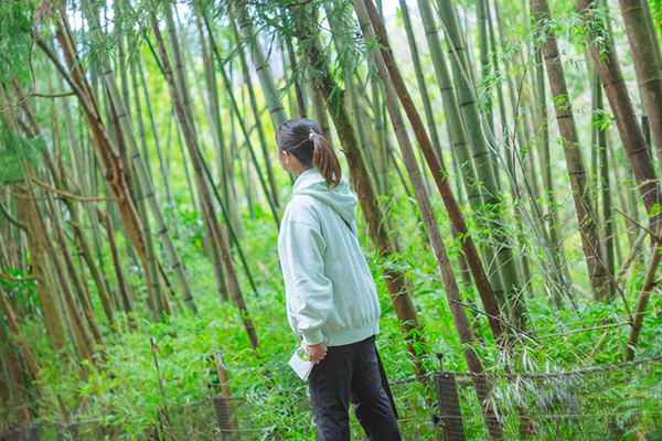 箱根の自然を楽しく散策、芦ノ湖畔のオリジナルMAP 付き宿泊プランを販売