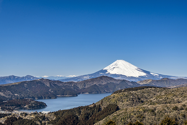 強羅・老舗写真館と連携 「箱根×富士山×自然美」フォトギャラリーを開催