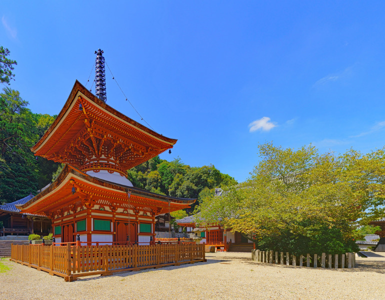 ▲天野山 金剛寺＜画像提供：PIXTA＞