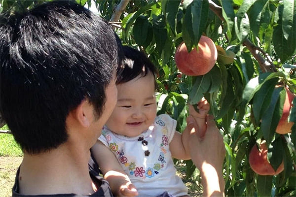 東鳳 土用の日に桃!採って食べて、浸かって、桃づくし!7月土用の日限定の「桃の葉湯」を開催