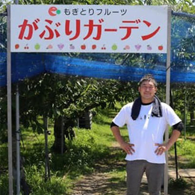 東鳳 土用の日に桃!採って食べて、浸かって、桃づくし!7月土用の日限定の「桃の葉湯」を開催