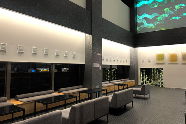 地域と世界をつなぐアート体験をホテルでTAAFキュレーションによる Eri Tsutsumy 個展「Eri Tsutsumy Exhibition｜Re-think」開催