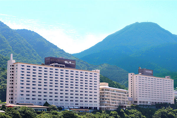 アートを通して旅行先の産業とSDGsに触れる本来は捨てられてしまう「地域のもの」をアートに再生し展示