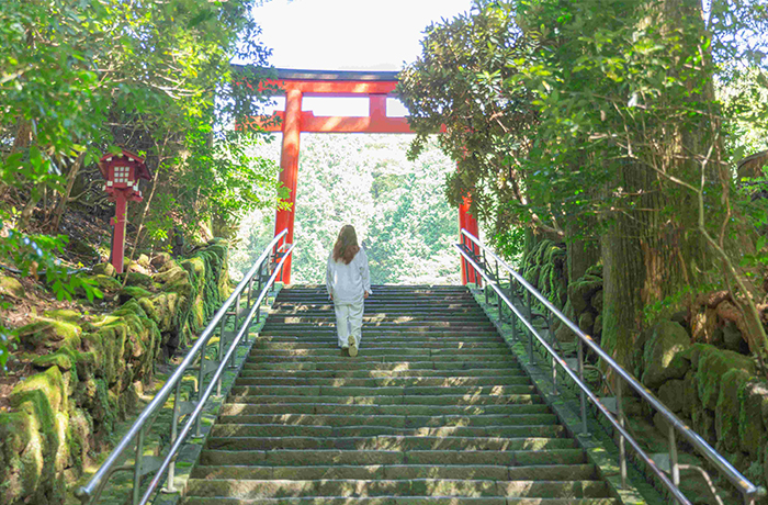 自身のペースで芦ノ湖畔を散策しながら箱根三社参り湖畔を歩き、心を整え、三社の加護を授かる参拝旅行