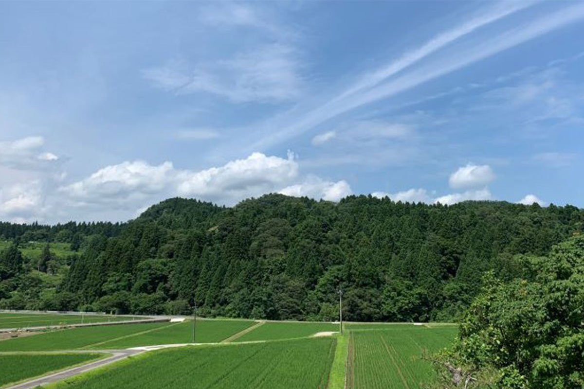 富山県産の紫蘇を使用したフレグランスで四季折々の香りを楽しむ空間演出を展開