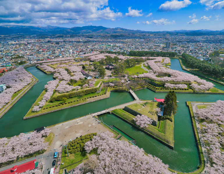 ▲五稜郭公園の桜　＜画像提供：PIXTA＞