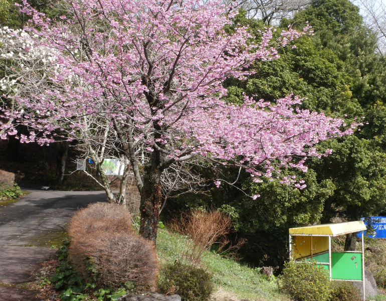 ▲姫の沢公園　＜画像提供：姫の沢公園＞