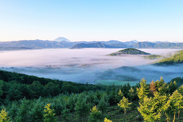 札幌市と隣接する“美しい村 赤井川村”とタイアップ「赤井川村フェア」を8月1日から開催