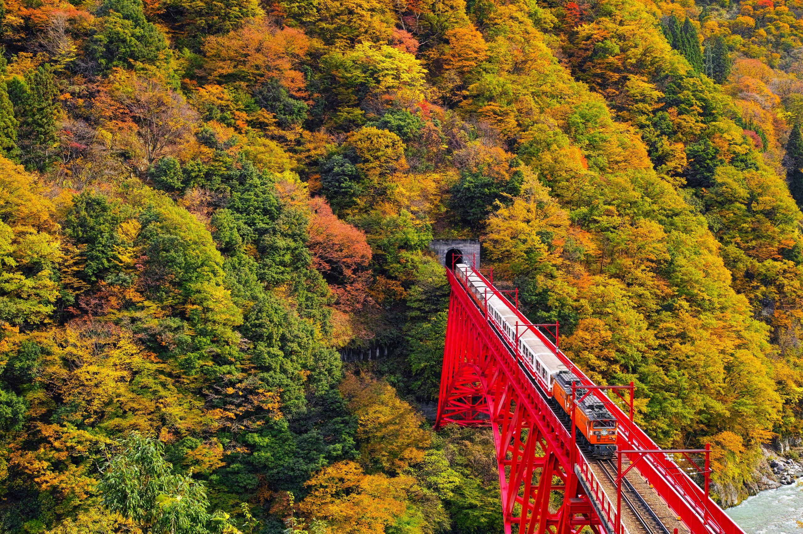 彩り豊かな紅葉！黒部渓谷トロッコ電車の車窓から楽しむ絶景旅｜にっぽん旅めぐり