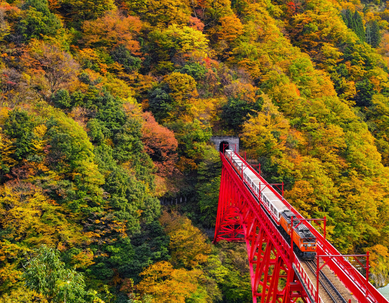 彩り豊かな紅葉！黒部渓谷トロッコ電車の車窓から楽しむ絶景旅｜にっぽん旅めぐり