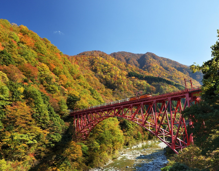 ▲紅葉の中を行く黒部峡谷鉄道（黒部峡谷トロッコ電車）　＜画像提供：黒部峡谷鉄道株式会社＞