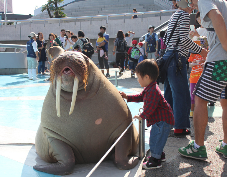 ▲うみたまパフォーマンス　＜画像提供：大分マリーンパレス水族館「うみたまご」＞