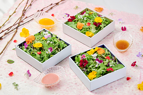 はなをり 箱を開けるとはじまる花咲く前菜「はな手箱」が登場 はなをりの夕食ビュッフェが1月24日にリニューアル